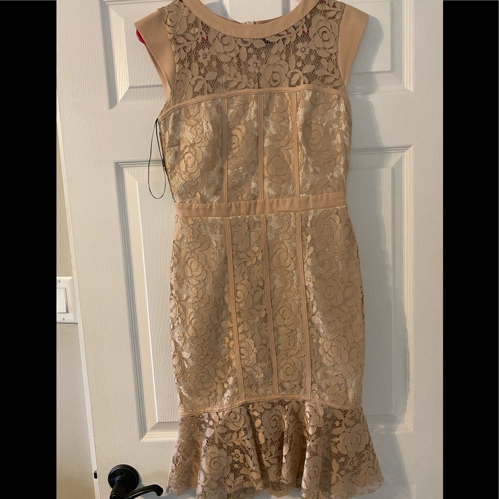 🤎Gorgeous dress 🤎